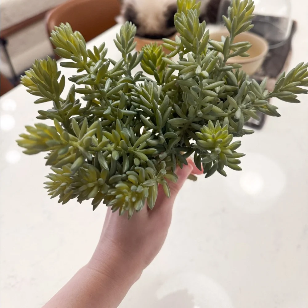 Crate Barrel Faux Greenery Sprigs (2) NWT